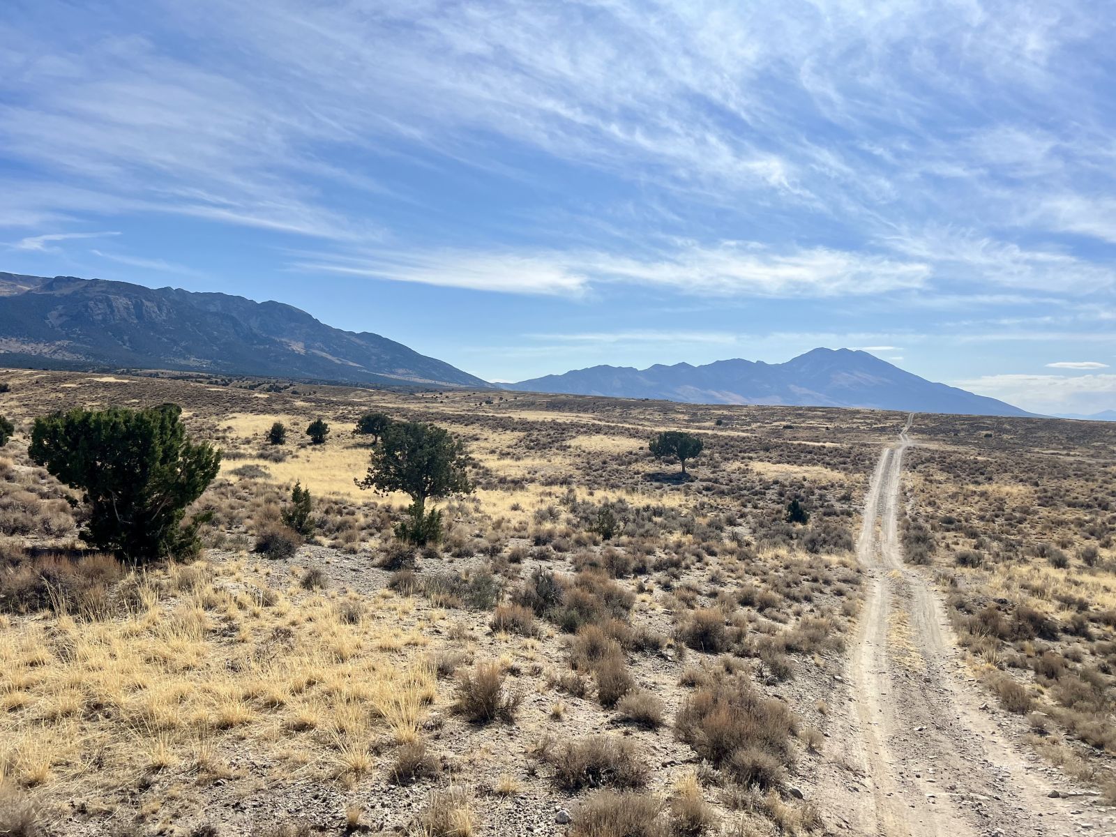 50 Acre Parcel Property Photo