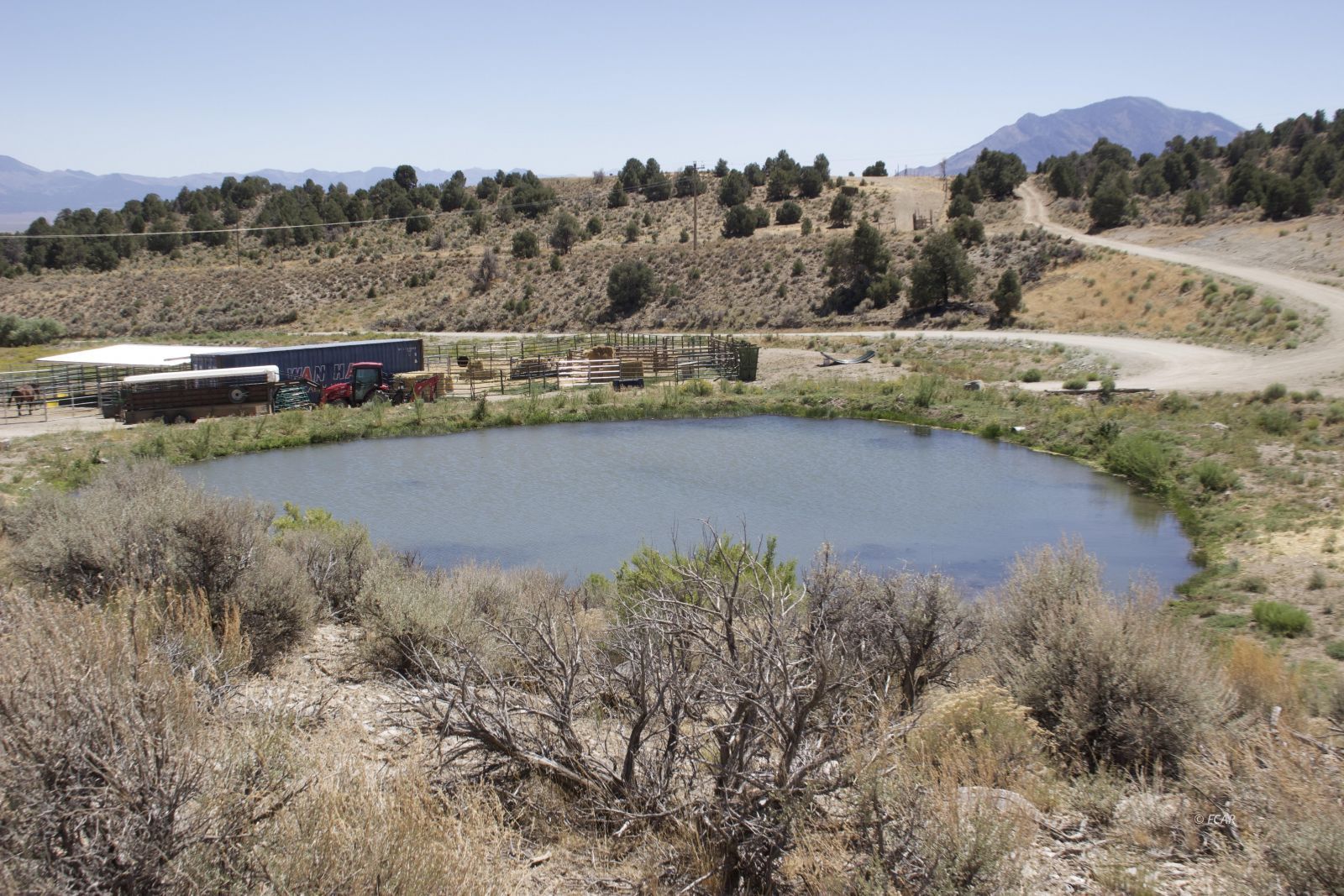 1090 W Cherry Creek Road Property Photo 23