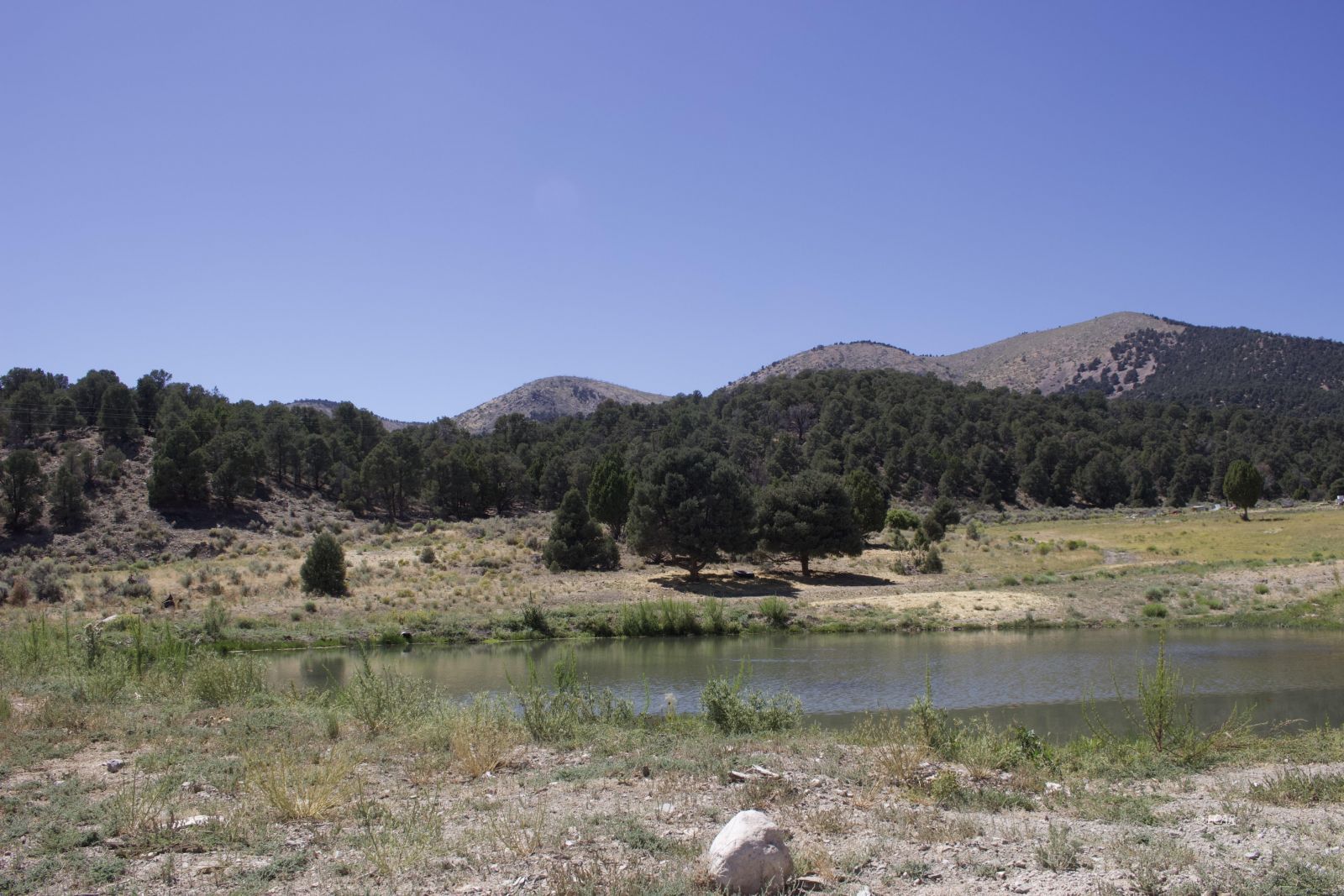 1090 W Cherry Creek Road Property Photo 26
