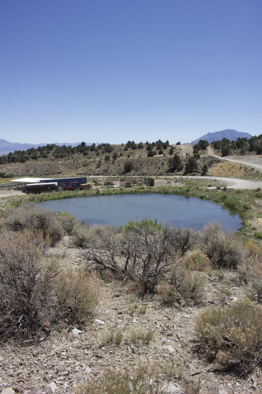 1090 W Cherry Creek Road Property Photo 27