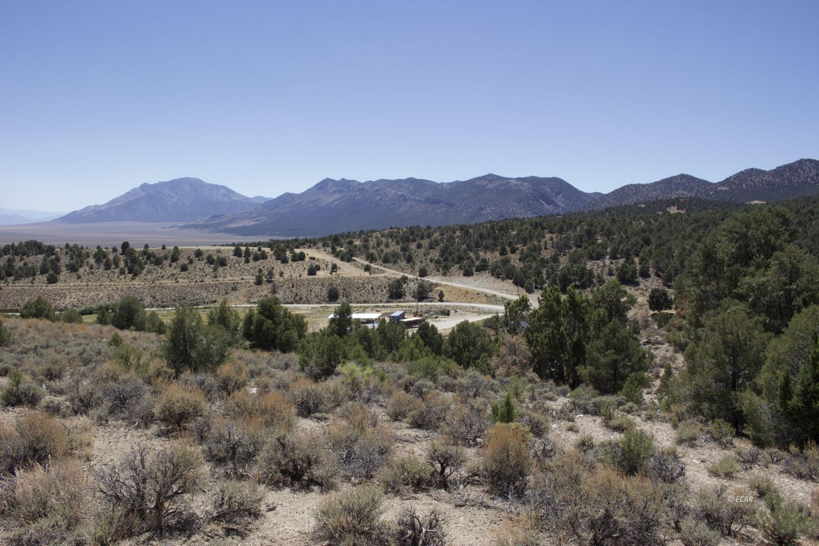 1090 W Cherry Creek Road Property Photo 35