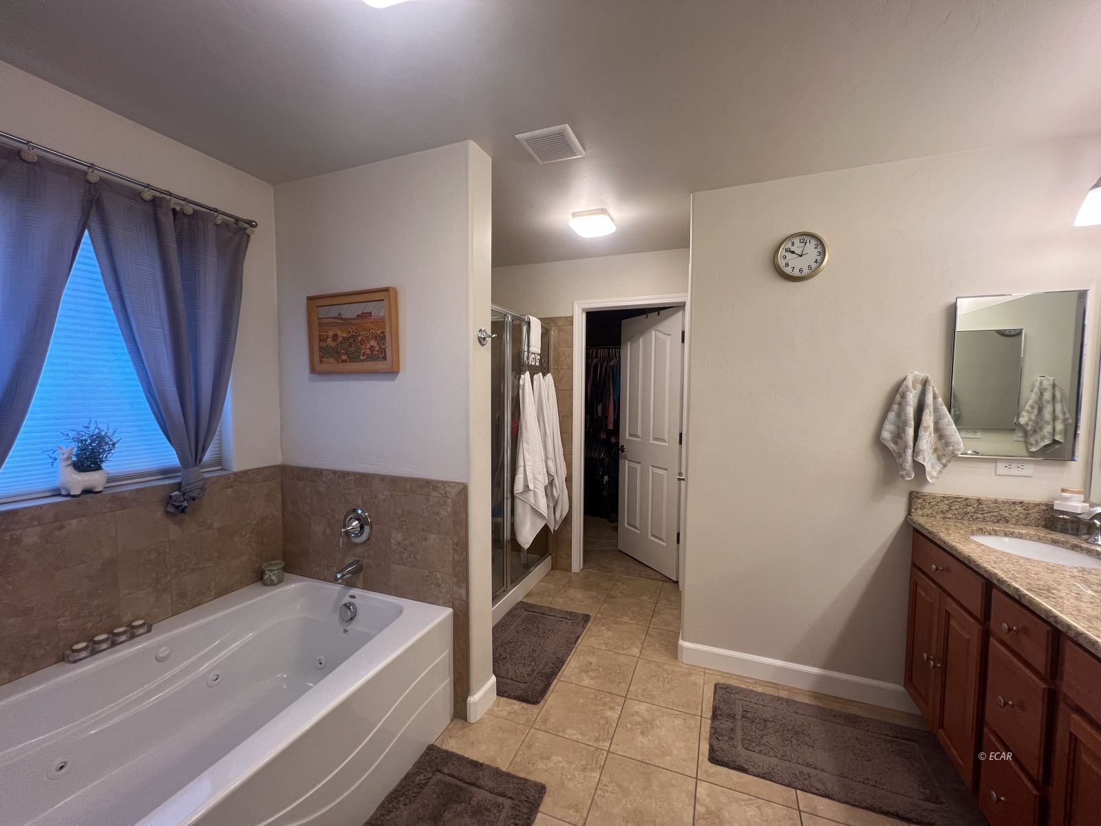 114 Cuerno Verde Drive Property Photo 8