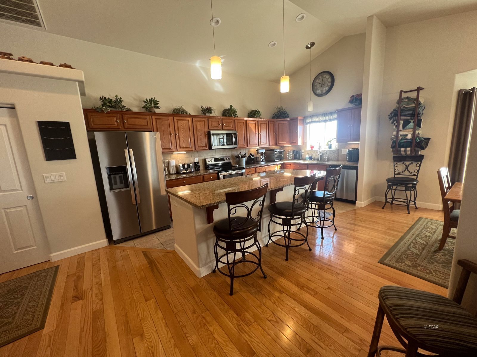 114 Cuerno Verde Drive Property Photo 11