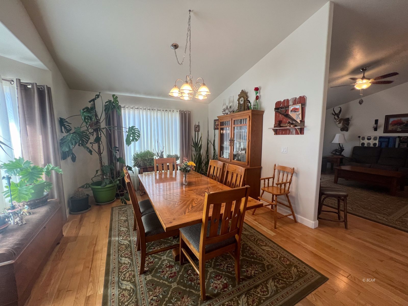114 Cuerno Verde Drive Property Photo 12
