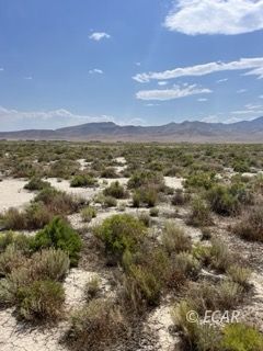 905 & 855 28th Street Property Photo 6