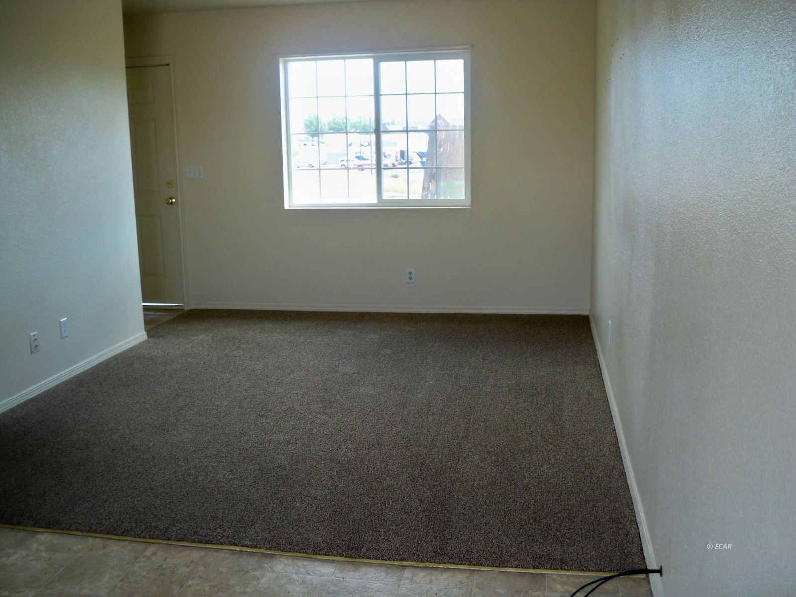 228 Spring Creek Parkway Property Photo 5