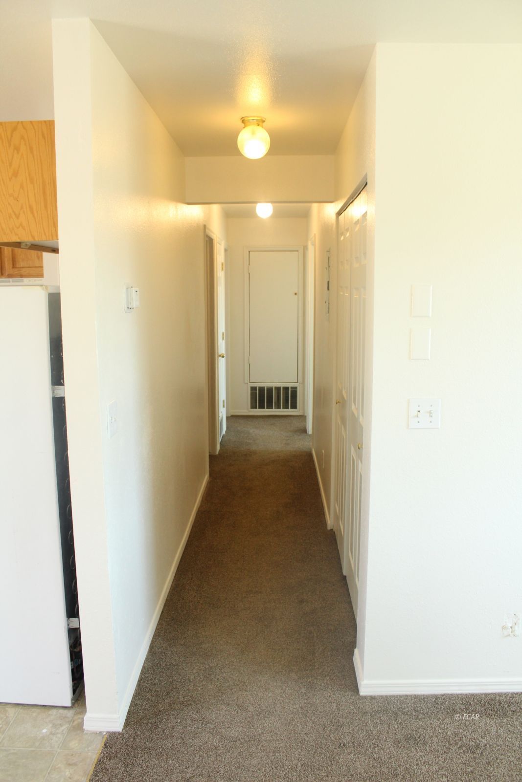 228 Spring Creek Parkway Property Photo 14