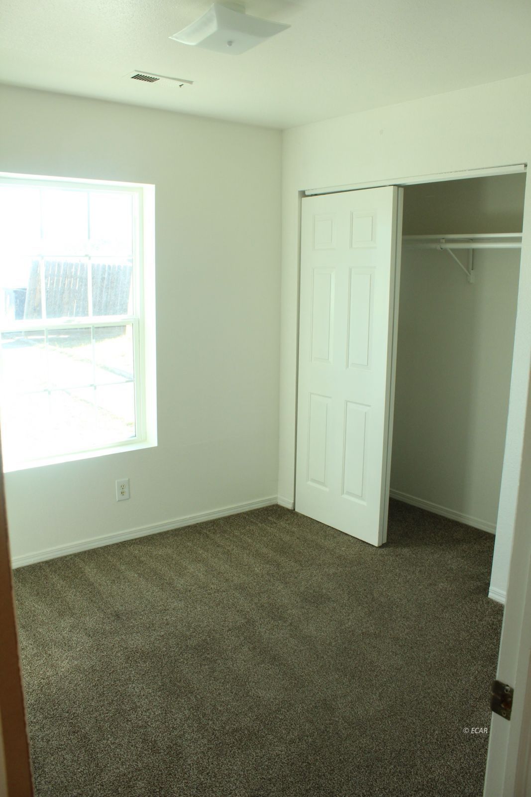 228 Spring Creek Parkway Property Photo 15