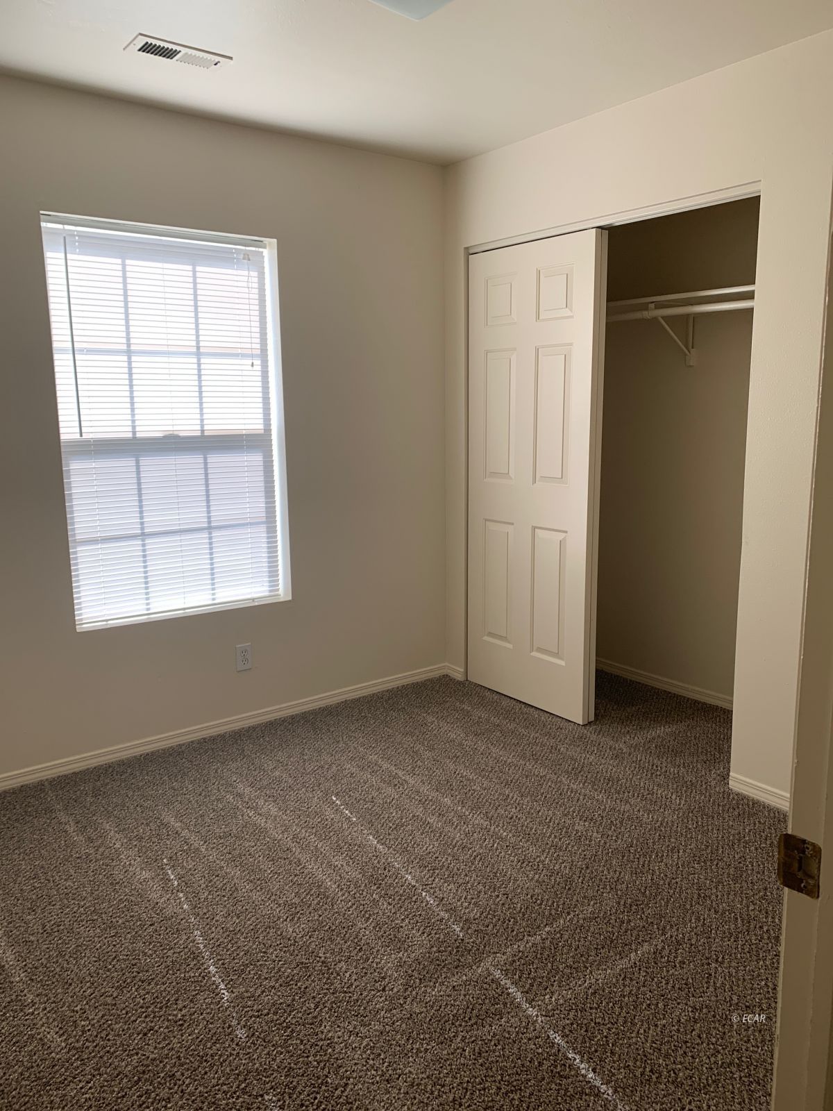 228 Spring Creek Parkway Property Photo 22
