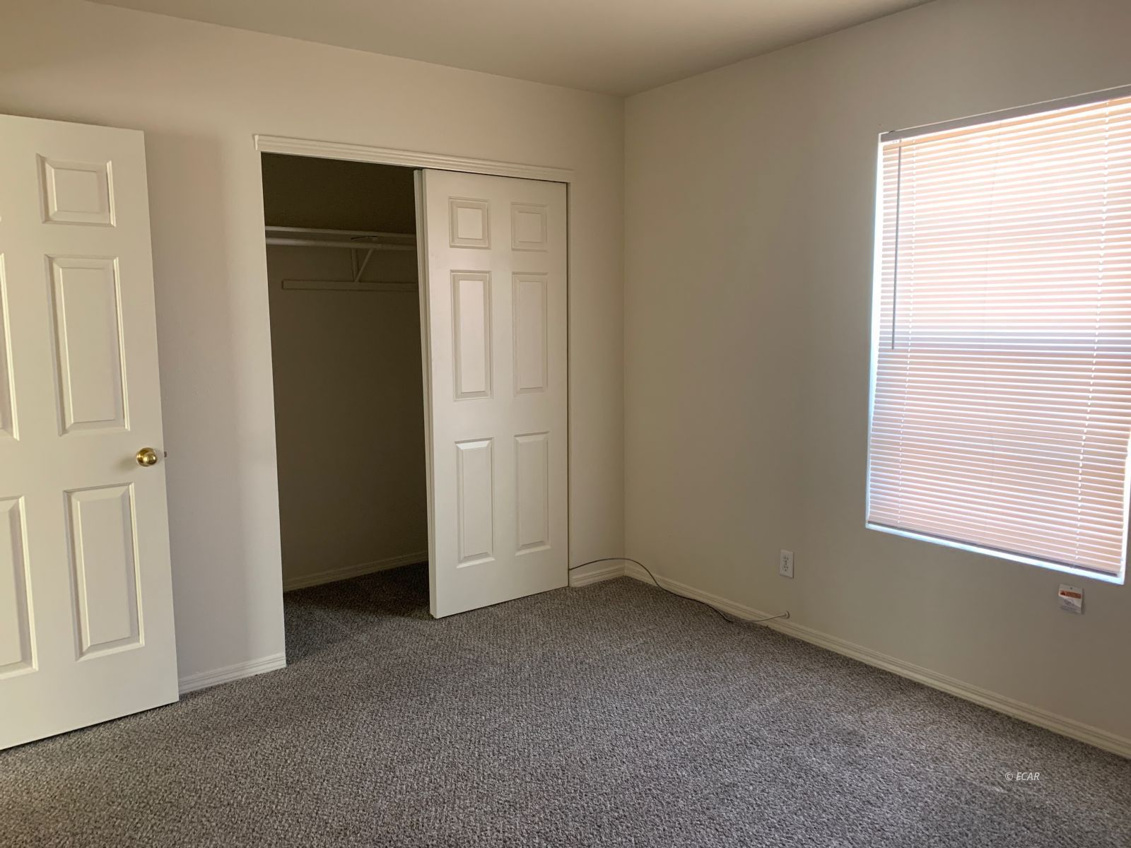 228 Spring Creek Parkway Property Photo 23