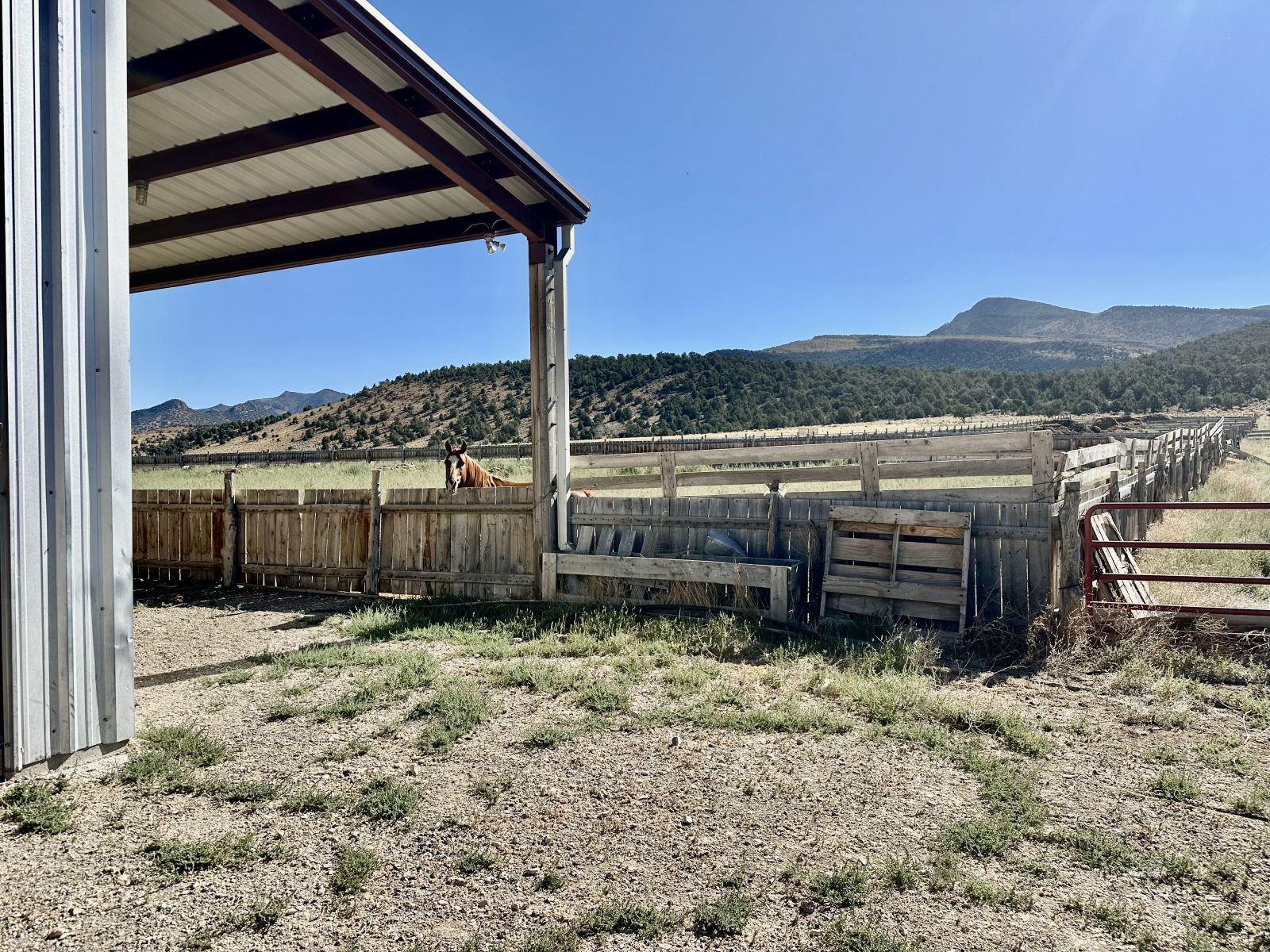 Segura Ranch Property Photo 6