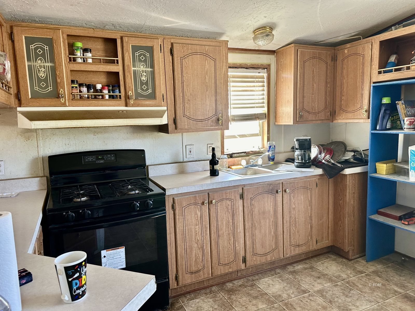 Segura Ranch Property Photo 11