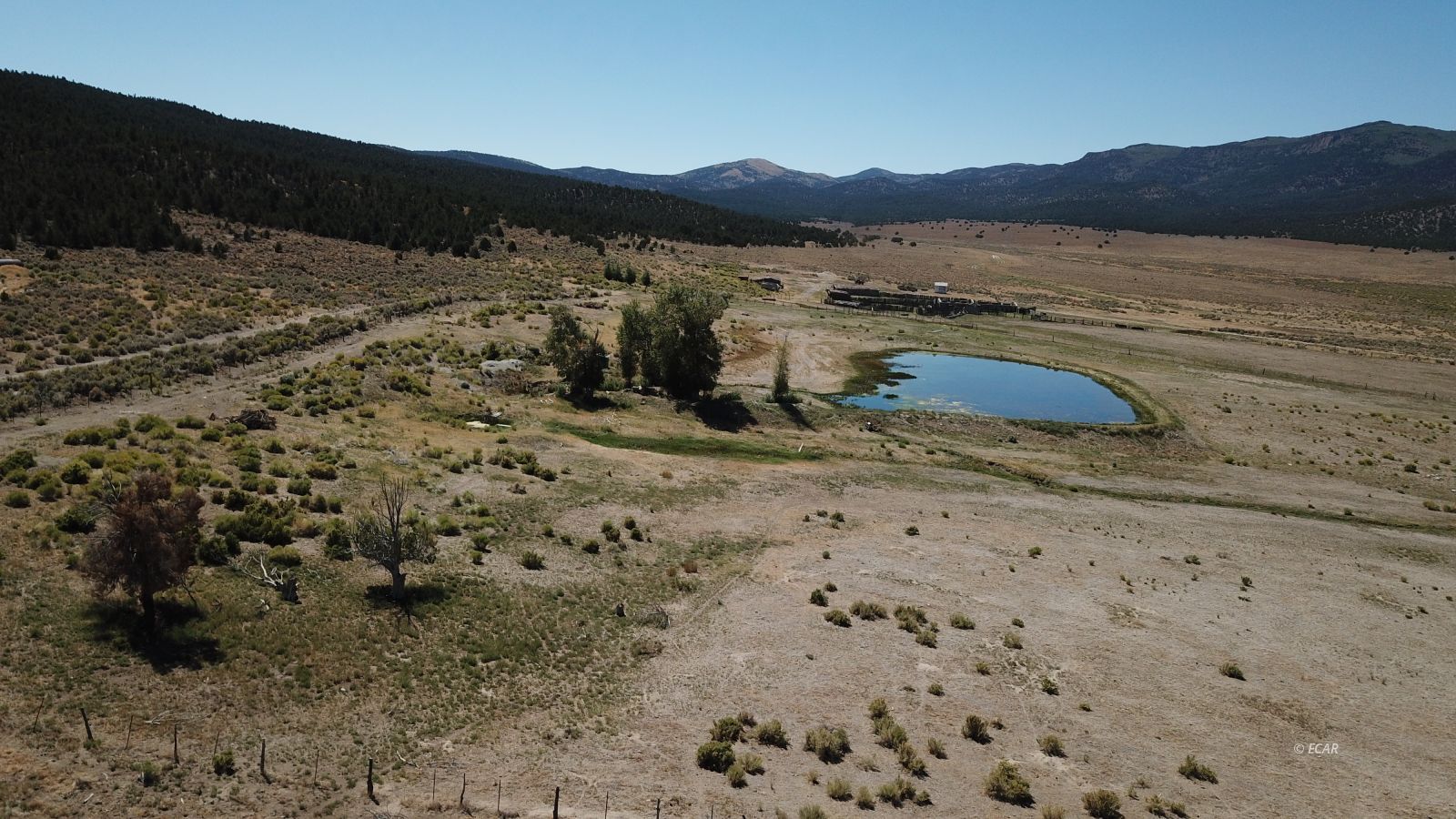 Segura Ranch Property Photo 12