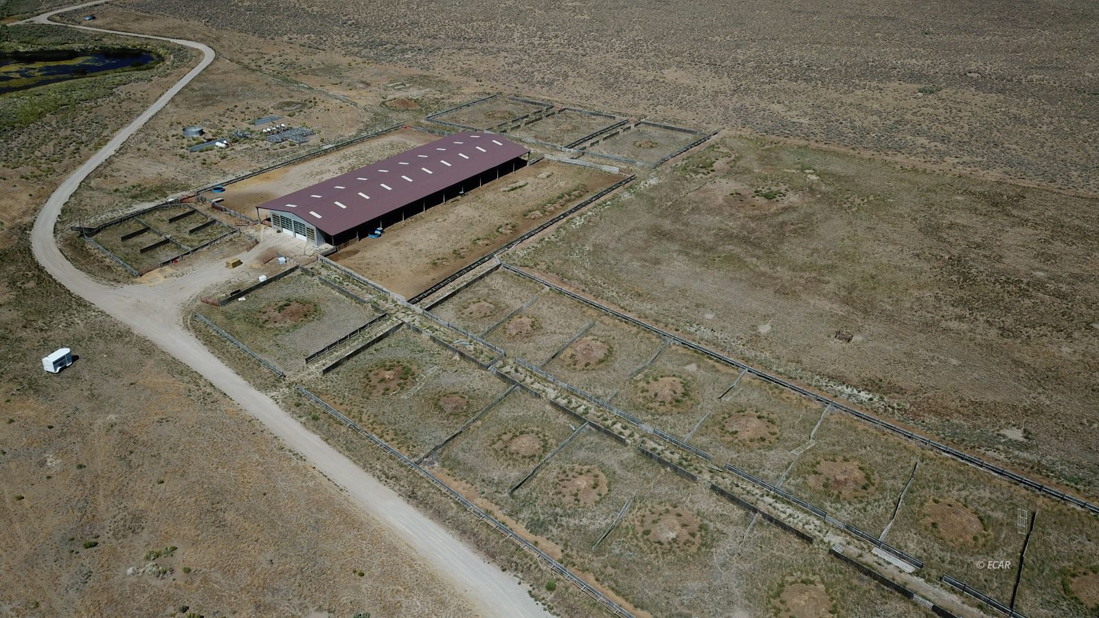 Segura Ranch Property Photo 14