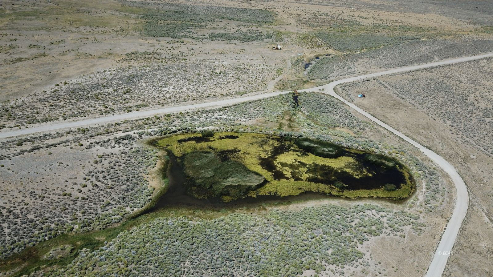 Segura Ranch Property Photo 19