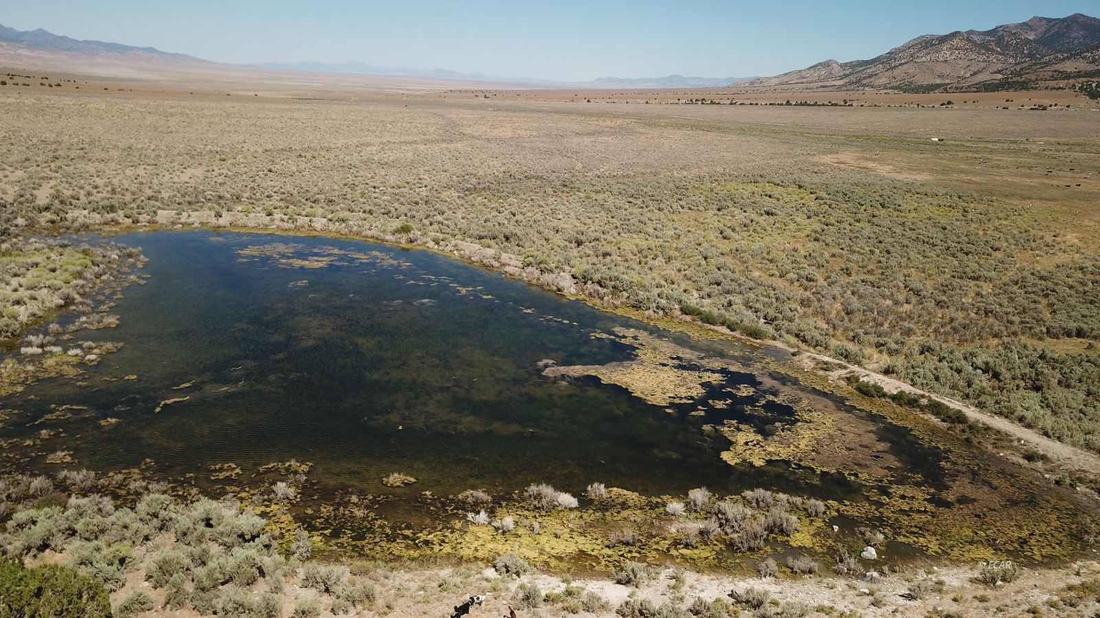 Segura Ranch Property Photo 21