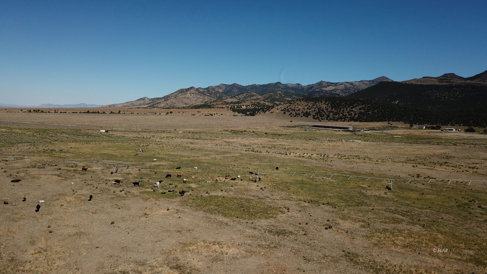 Segura Ranch Property Photo 22