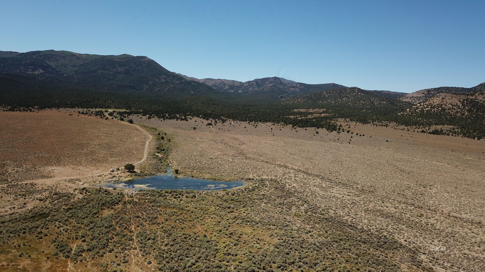 Segura Ranch Property Photo 23