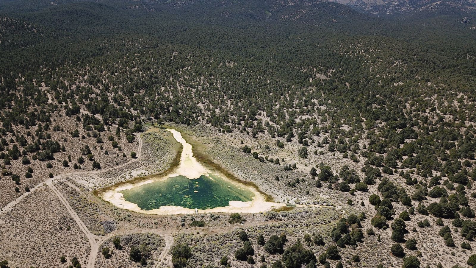 Segura Ranch Property Photo 24