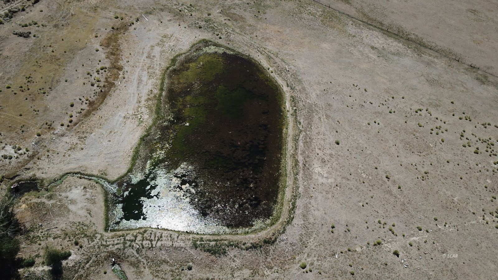 Segura Ranch Property Photo 28