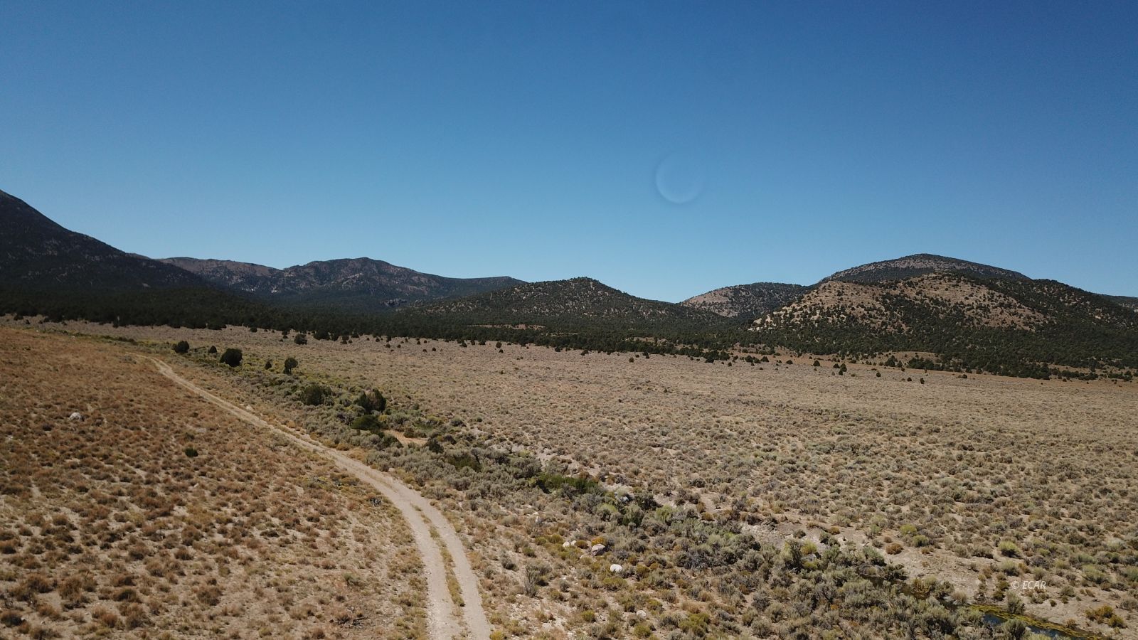 Segura Ranch Property Photo 36