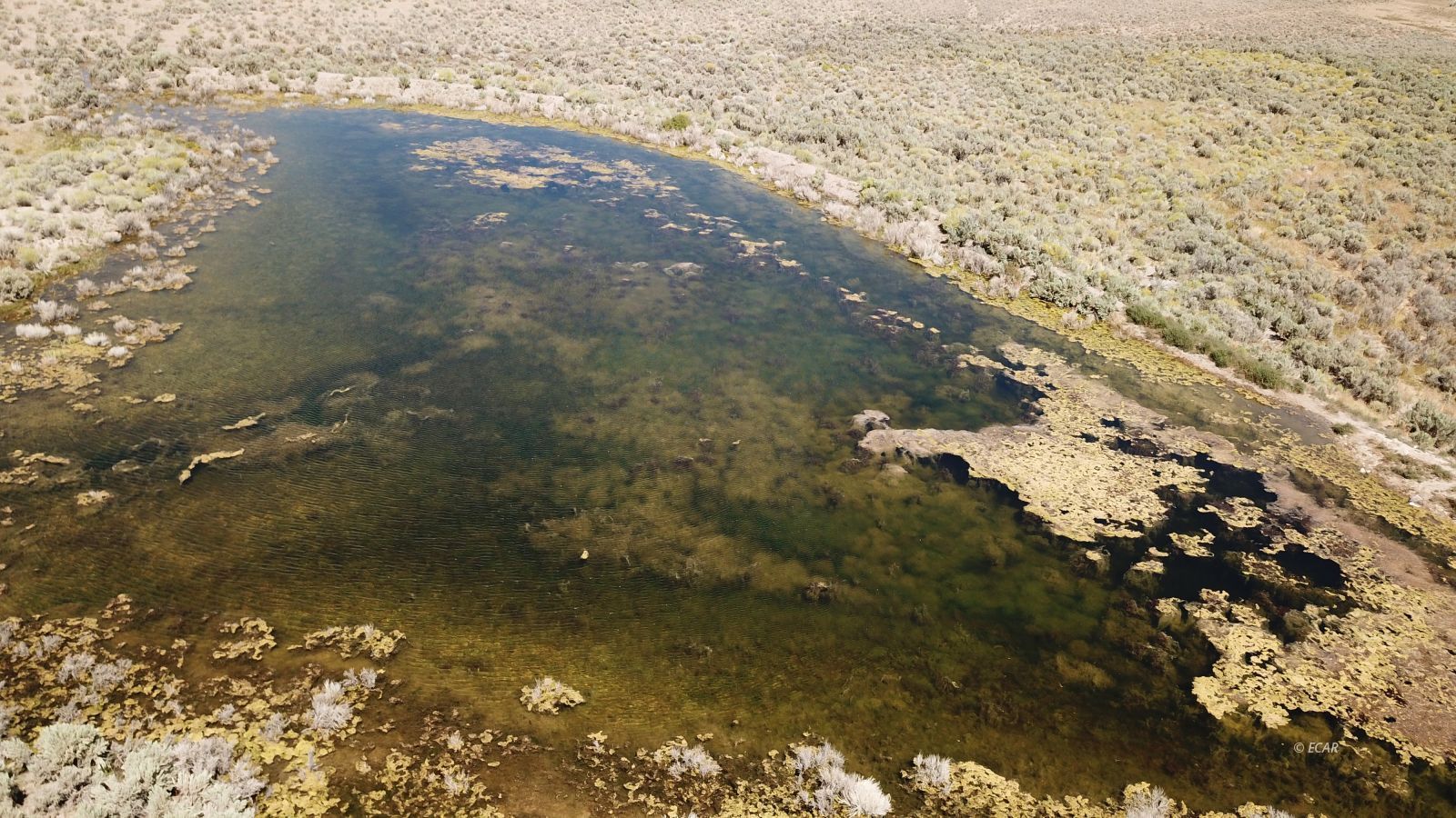 Segura Ranch Property Photo 37