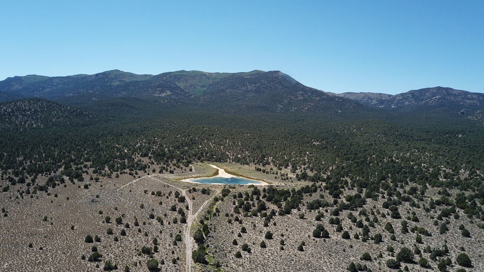 Segura Ranch Property Photo 38