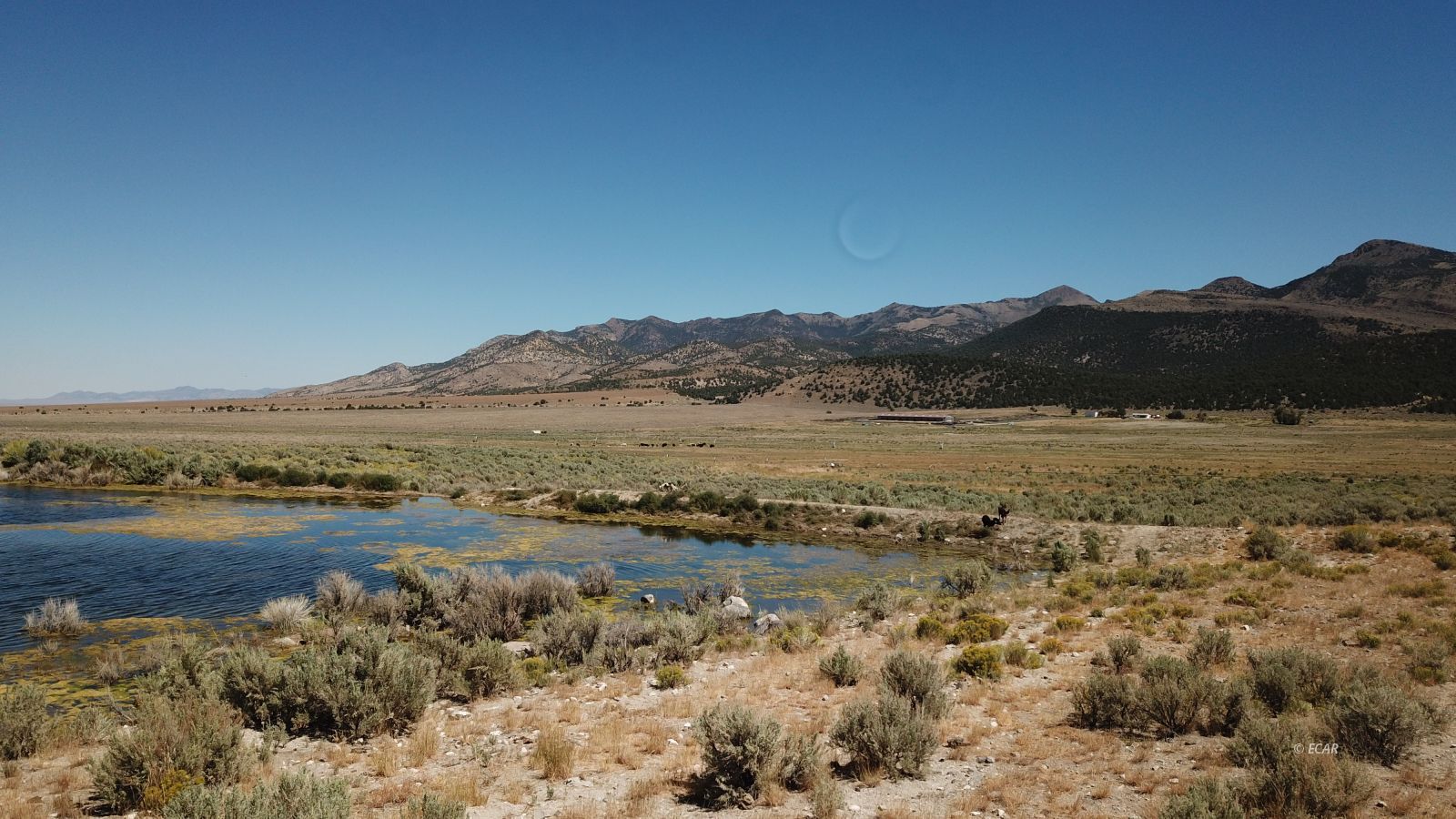 Segura Ranch Property Photo 39