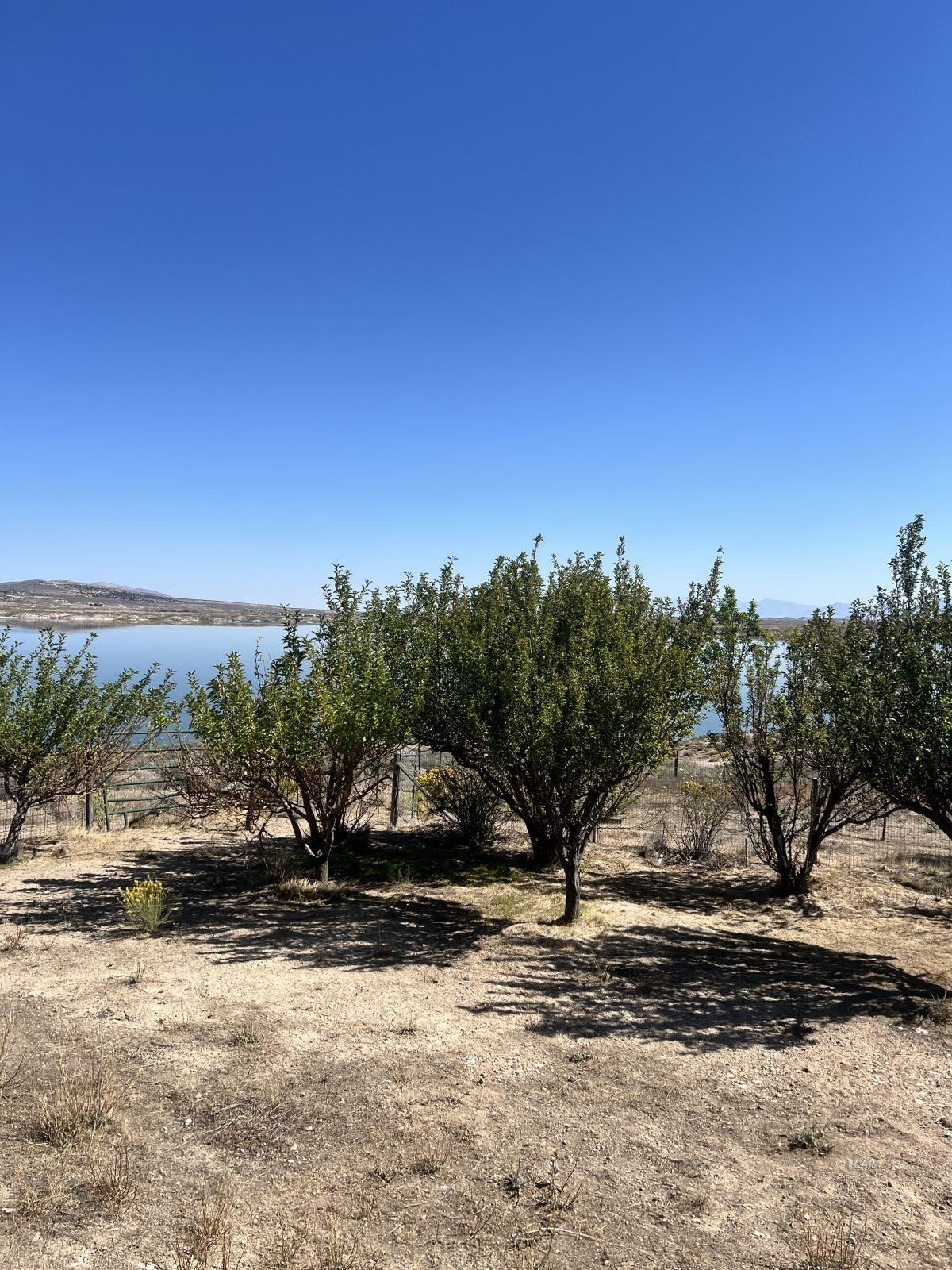 1353 Lakeview Drive Property Photo 33