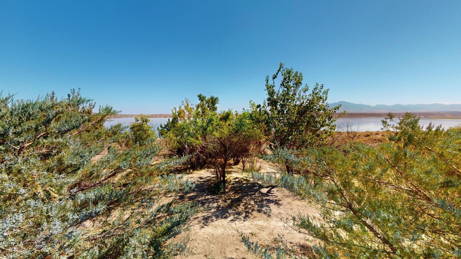 1353 Lakeview Drive Property Photo 36