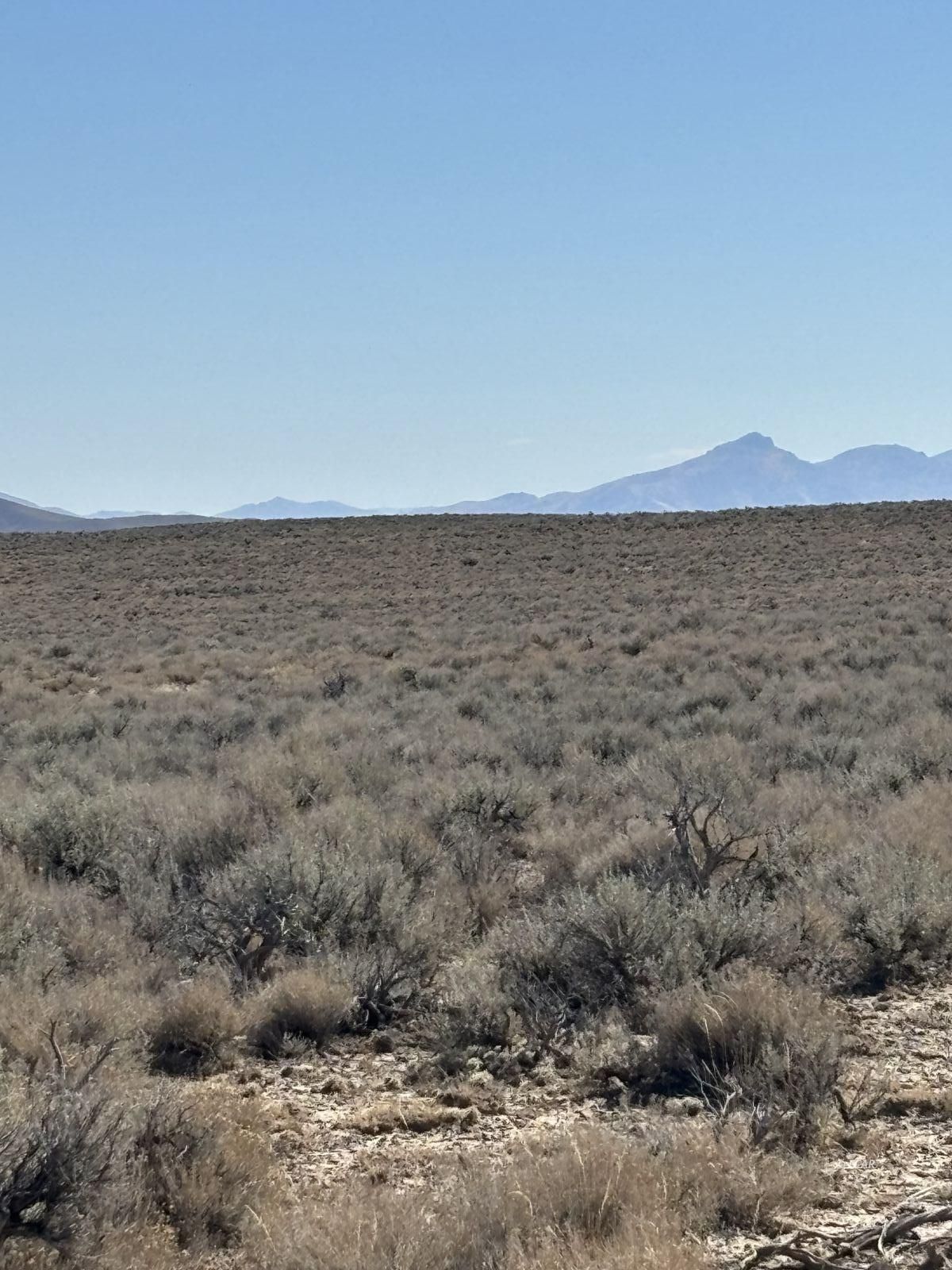 Tbd Ryndon Parcel Property Photo 3