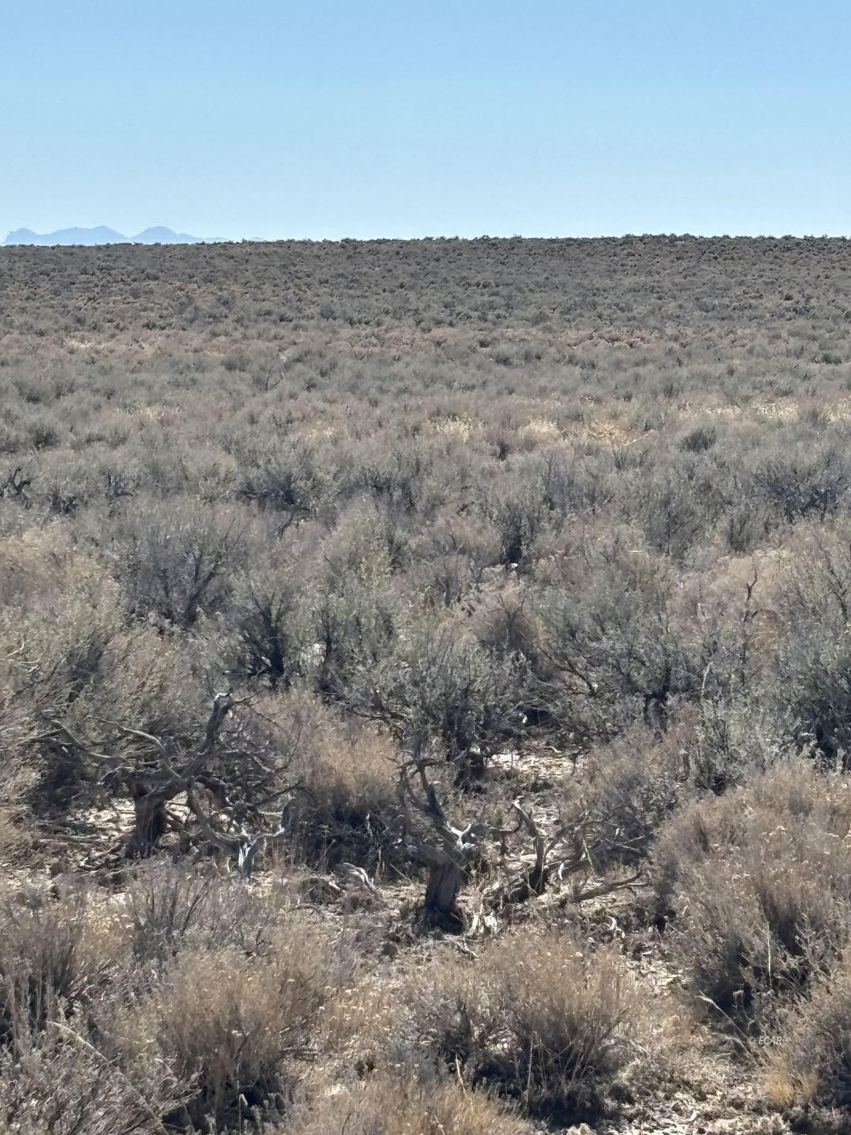 Tbd Ryndon Parcel Property Photo 4