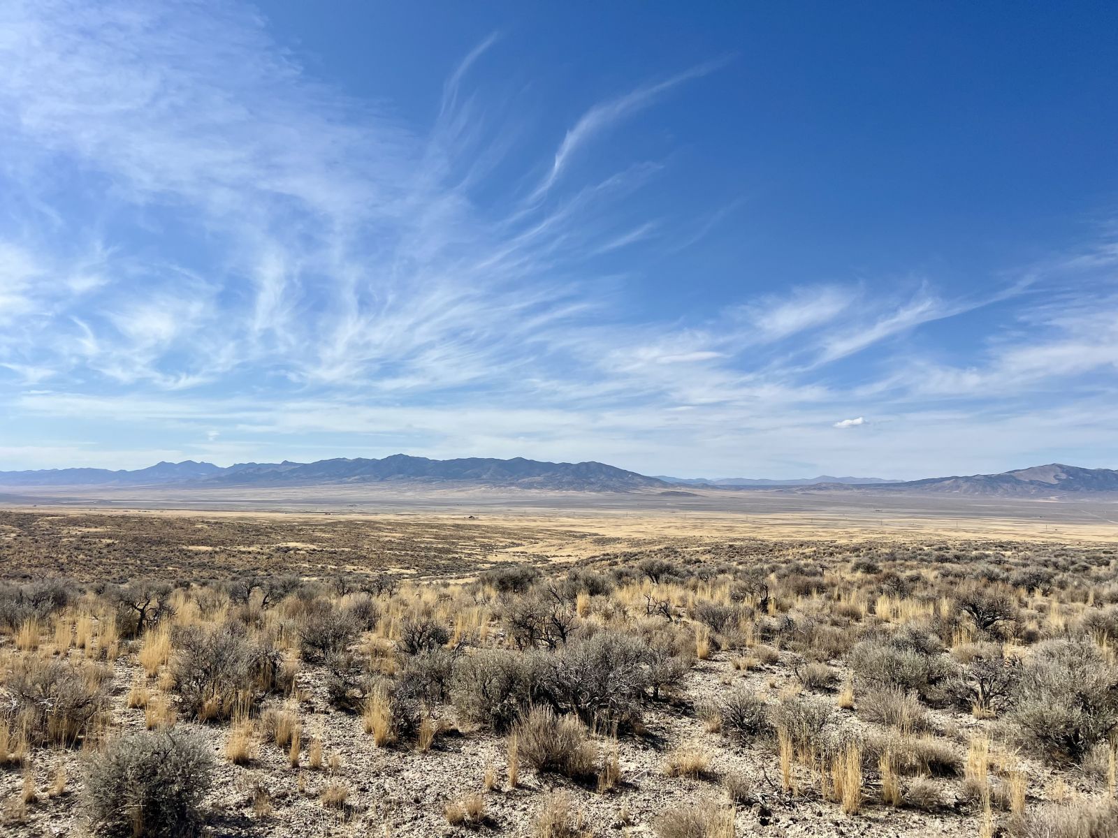 40 Acre Parcel Property Photo