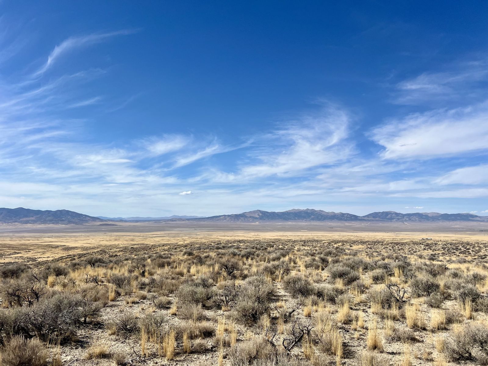 40 Acre Parcel Property Photo 2