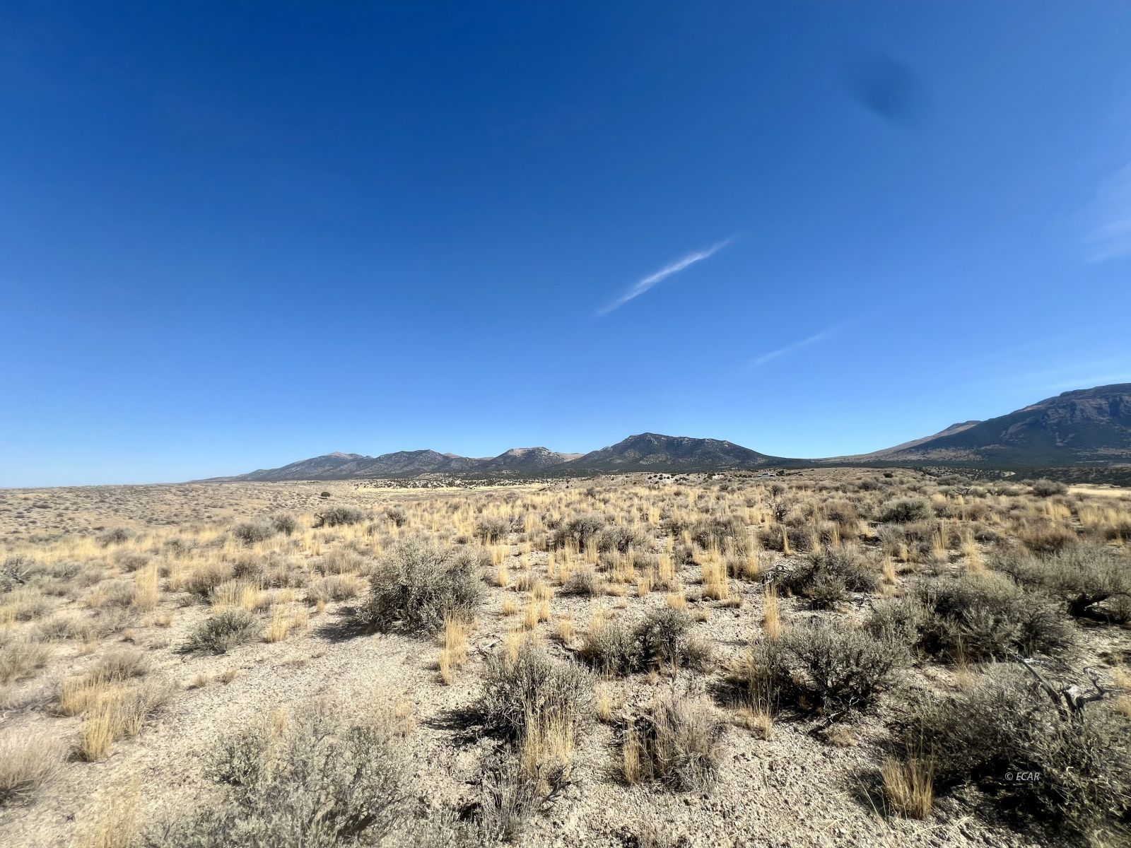 40 Acre Parcel Property Photo 3