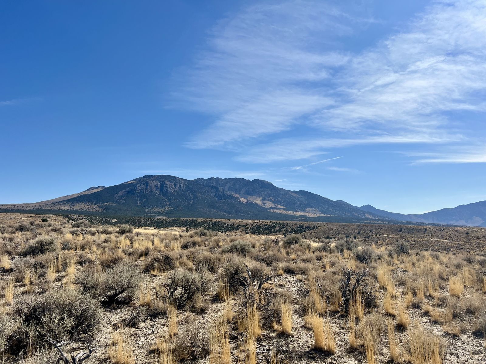 40 Acre Parcel Property Photo 4