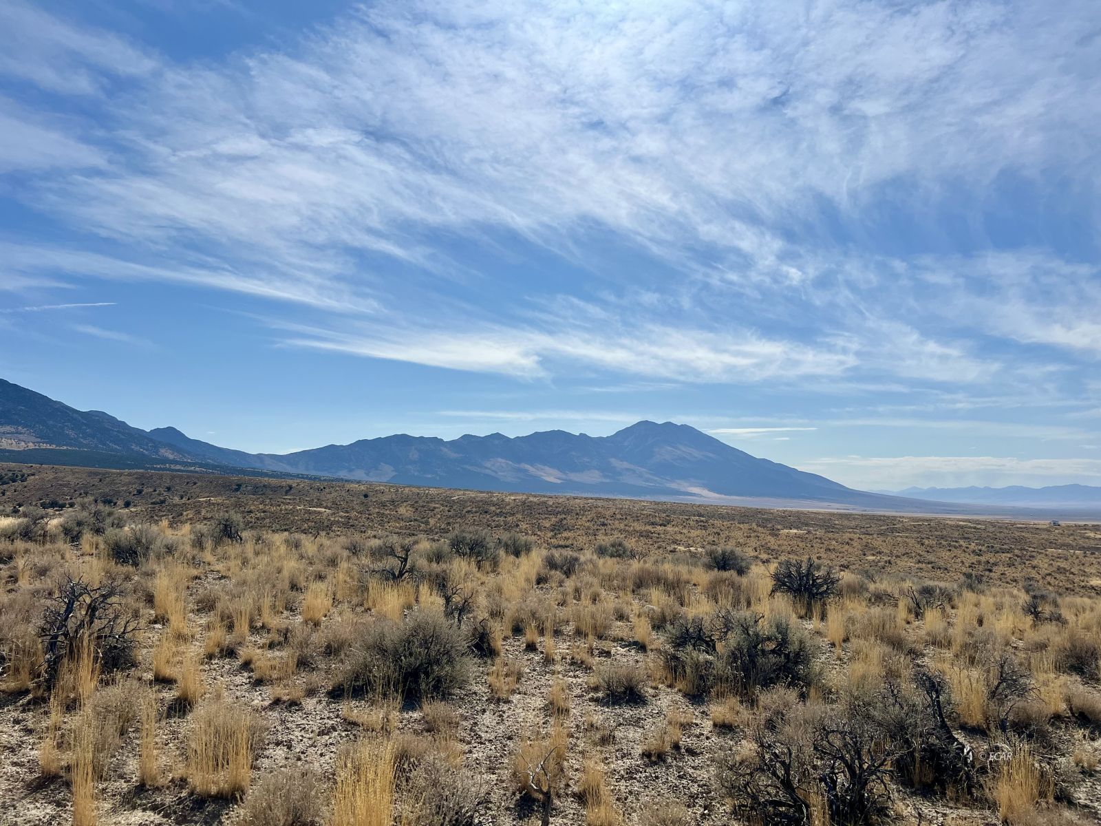 40 Acre Parcel Property Photo 5