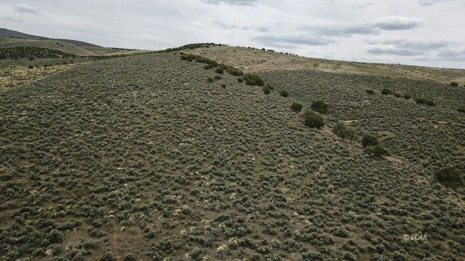1 Acre, Cassiar Street Property Photo
