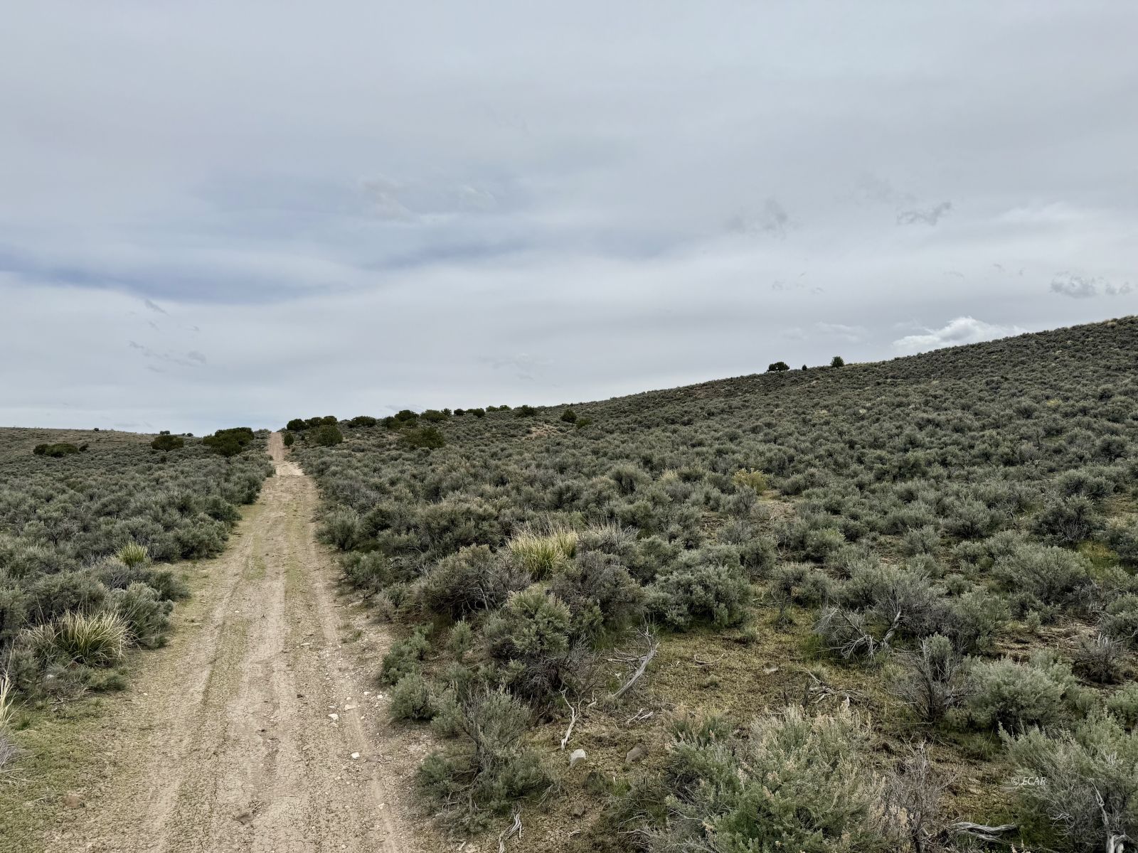1 Acre, Cassiar Street Property Photo