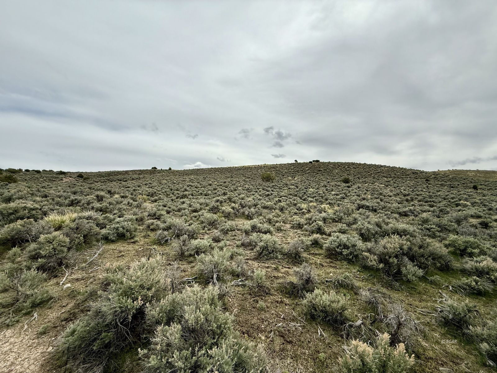 1 Acre, Cassiar Street Property Photo 2