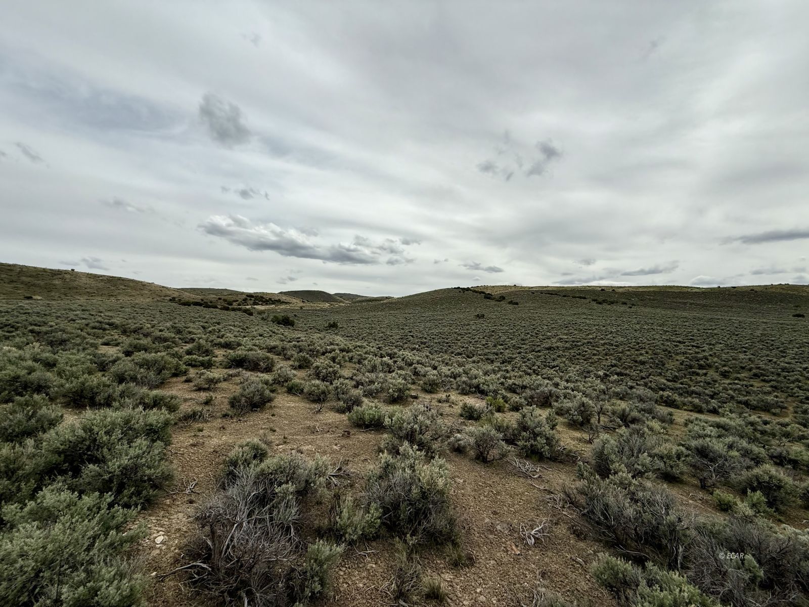 1 Acre, Chugach Street Property Photo 10