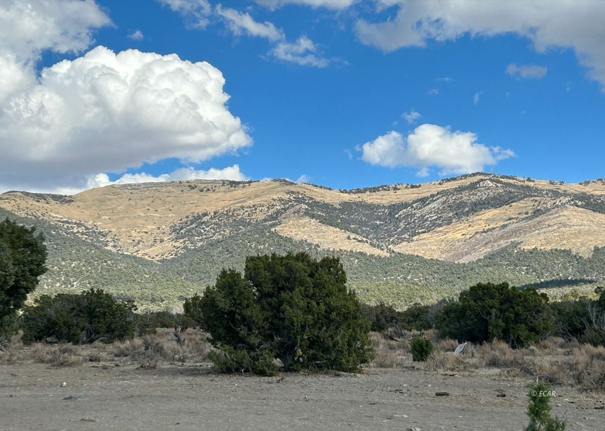 Blm Road Independence Valley Road Property Photo 4