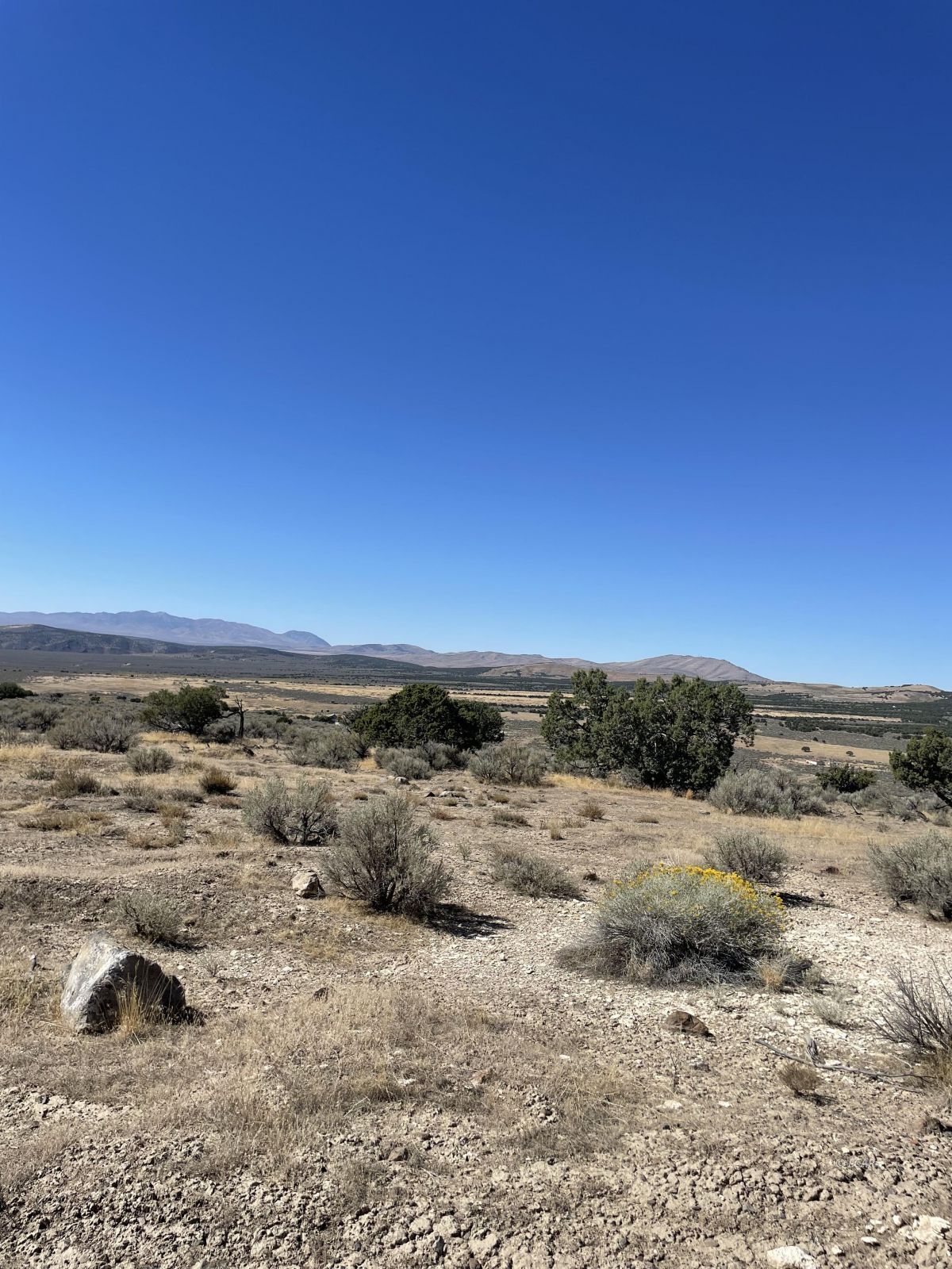 Tbd Emigrant Court Property Photo 3