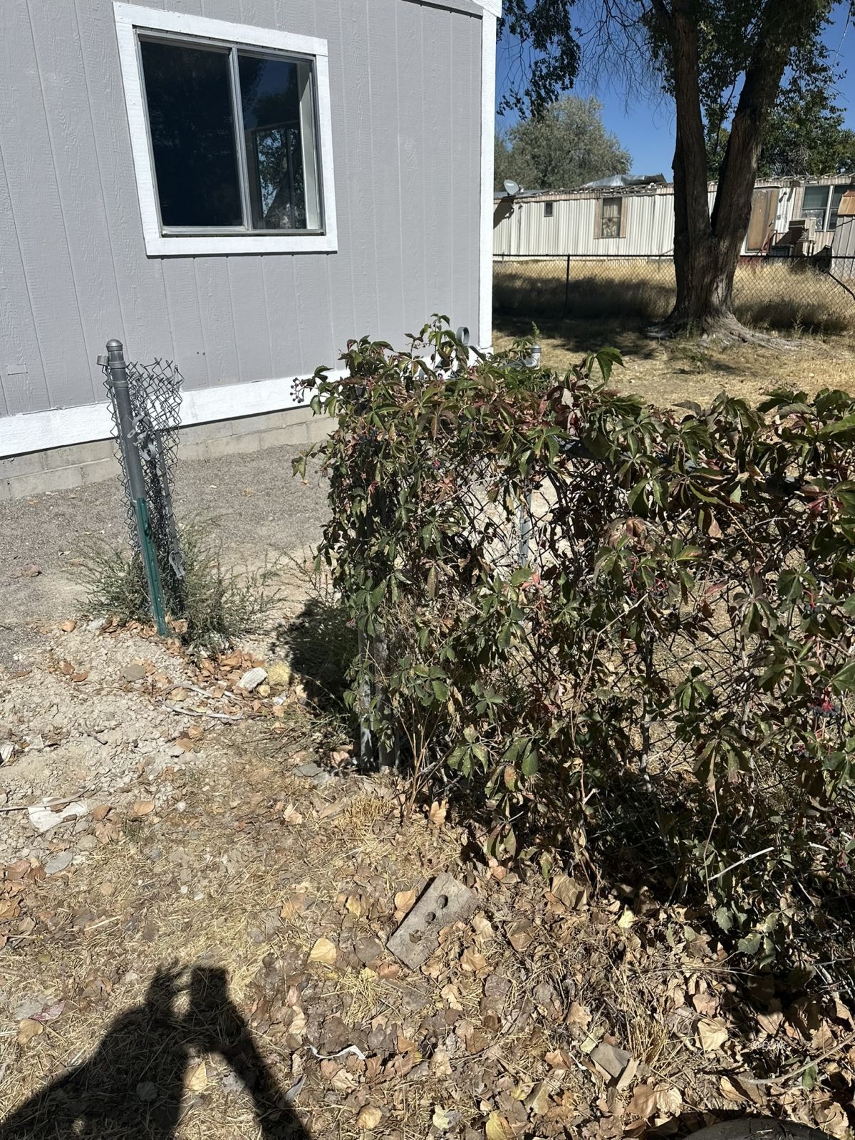4105 Golden Circle Drive Property Photo 21