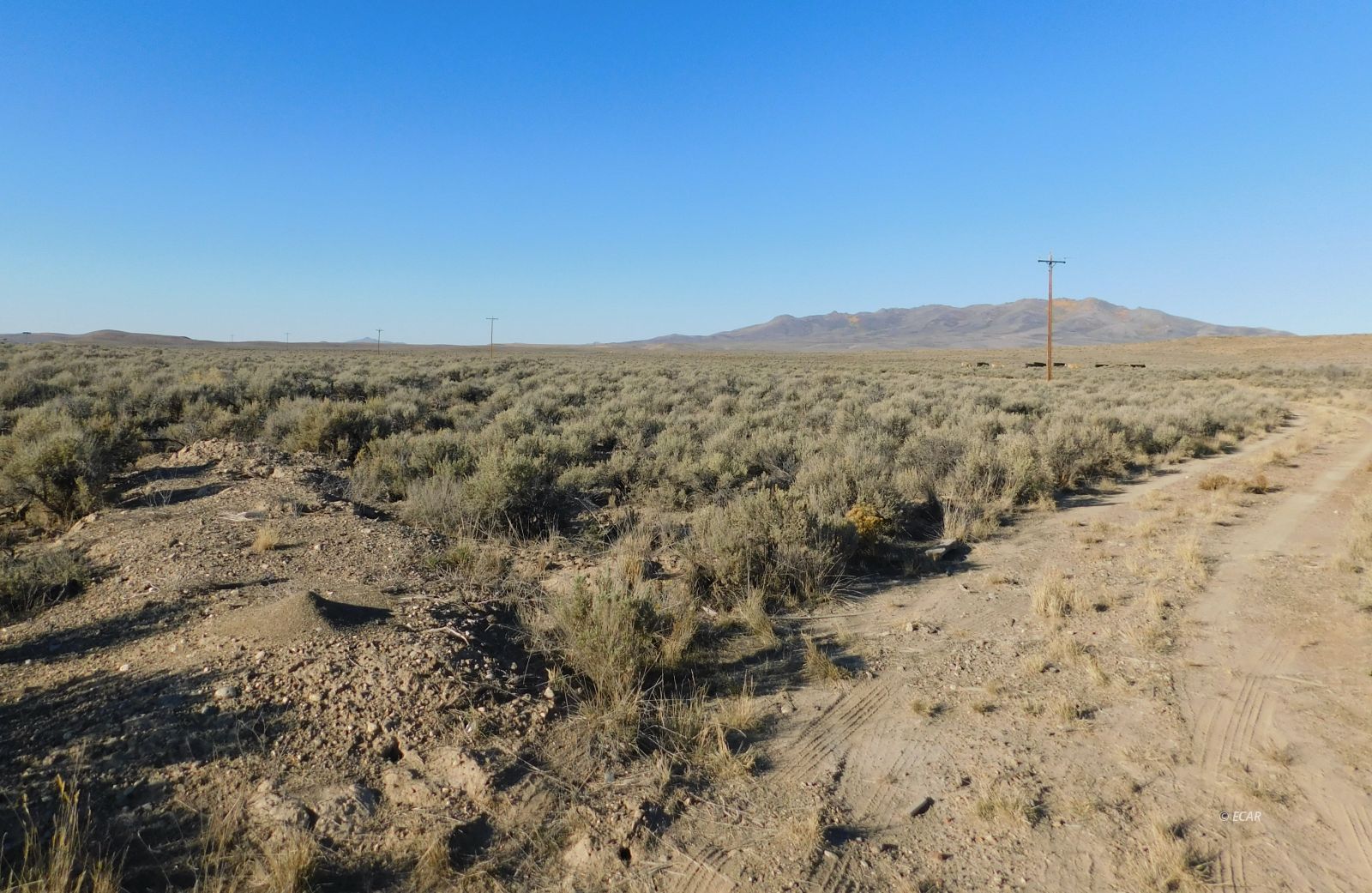 TBD SR 225 Highway Property Photo 1