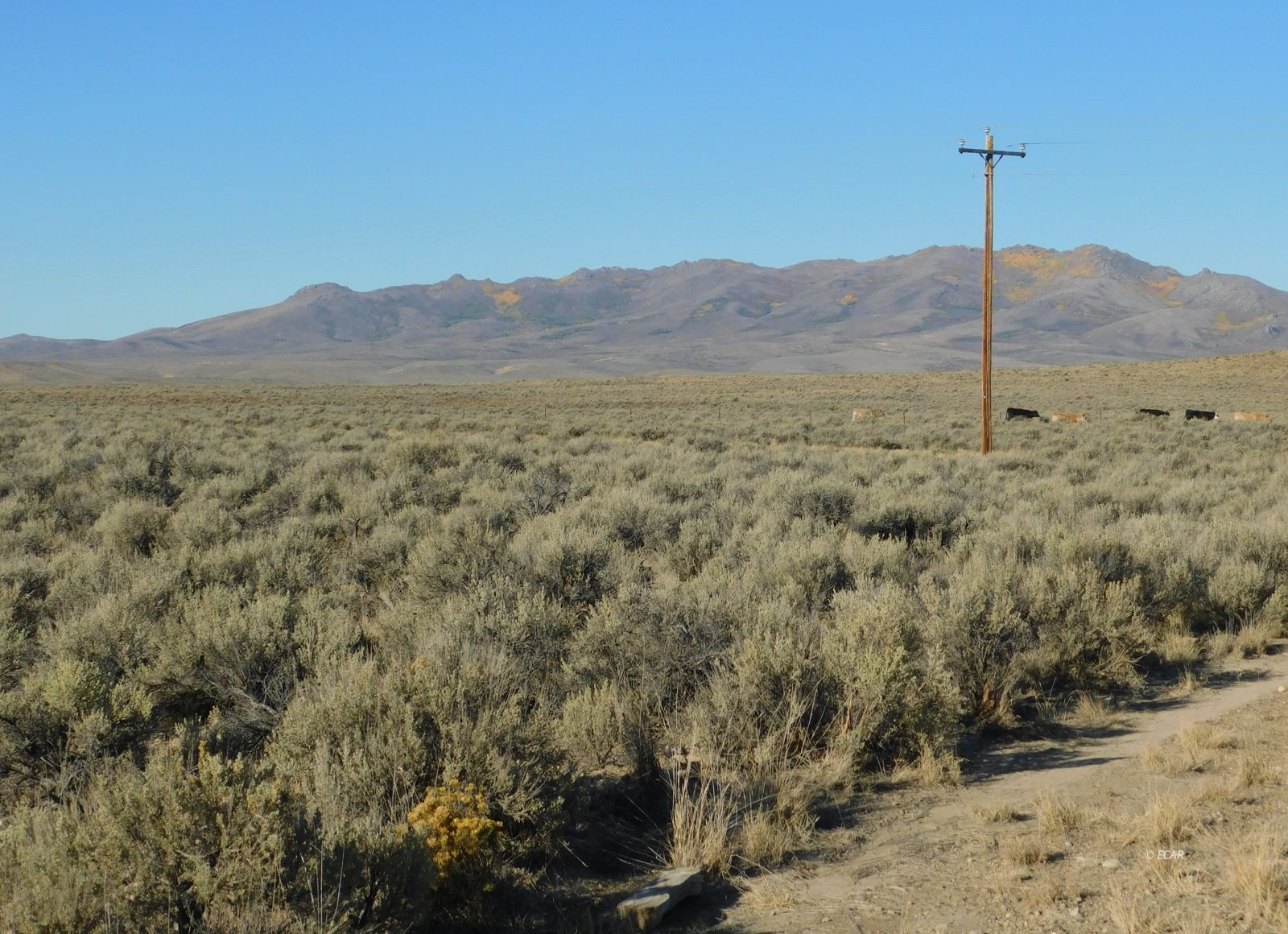 Tbd Sr 225 Highway Property Photo 3