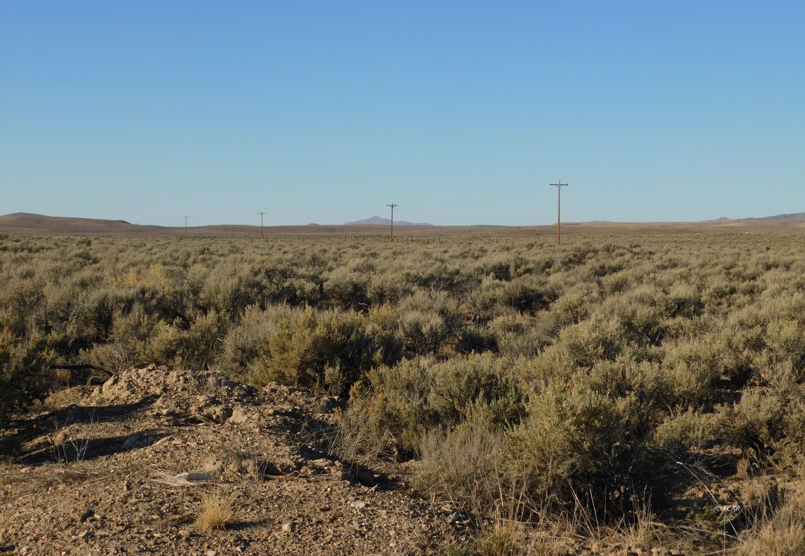 Tbd Sr 225 Highway Property Photo 4