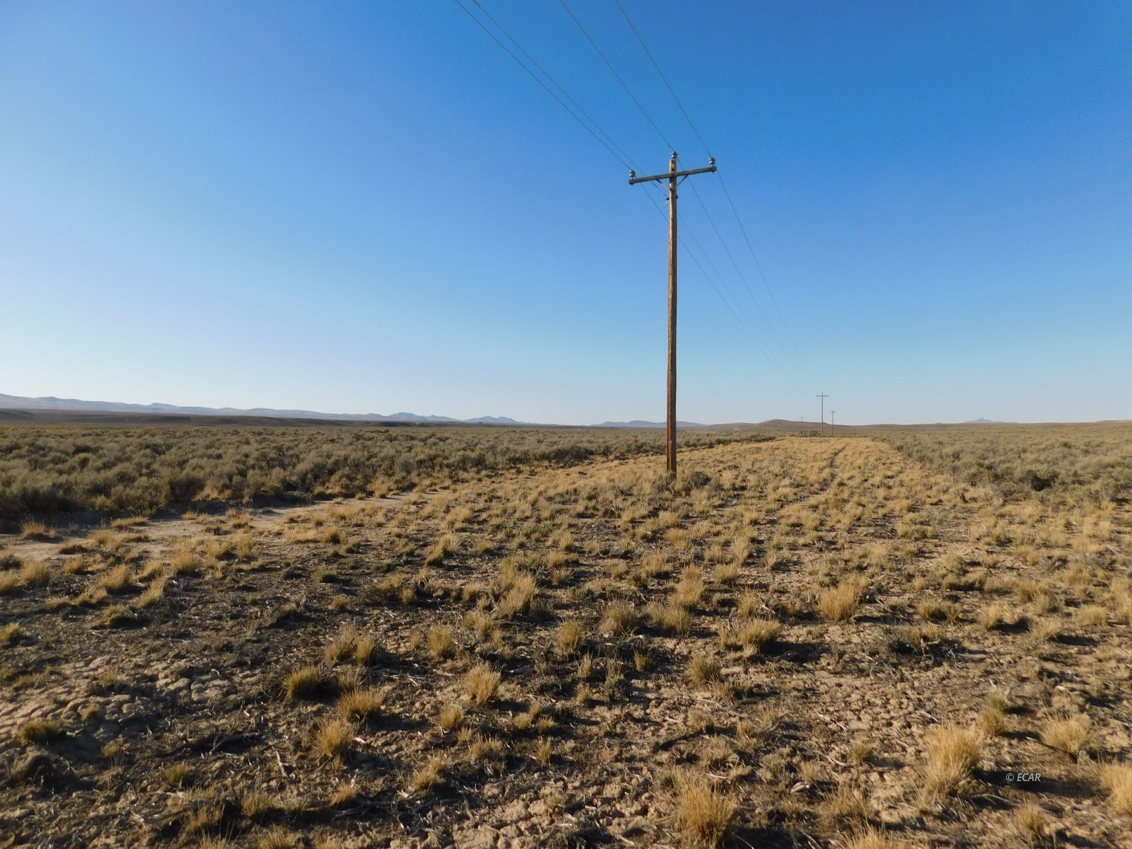 Tbd Sr 225 Highway Property Photo 6