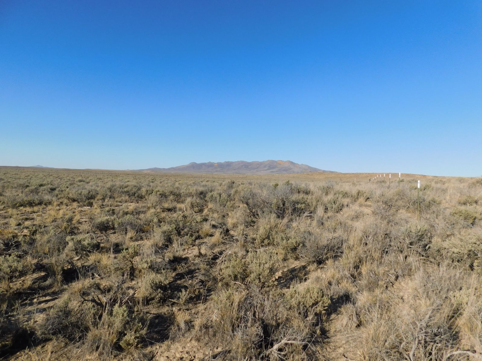 Tbd Sr 225 Highway Property Photo 7