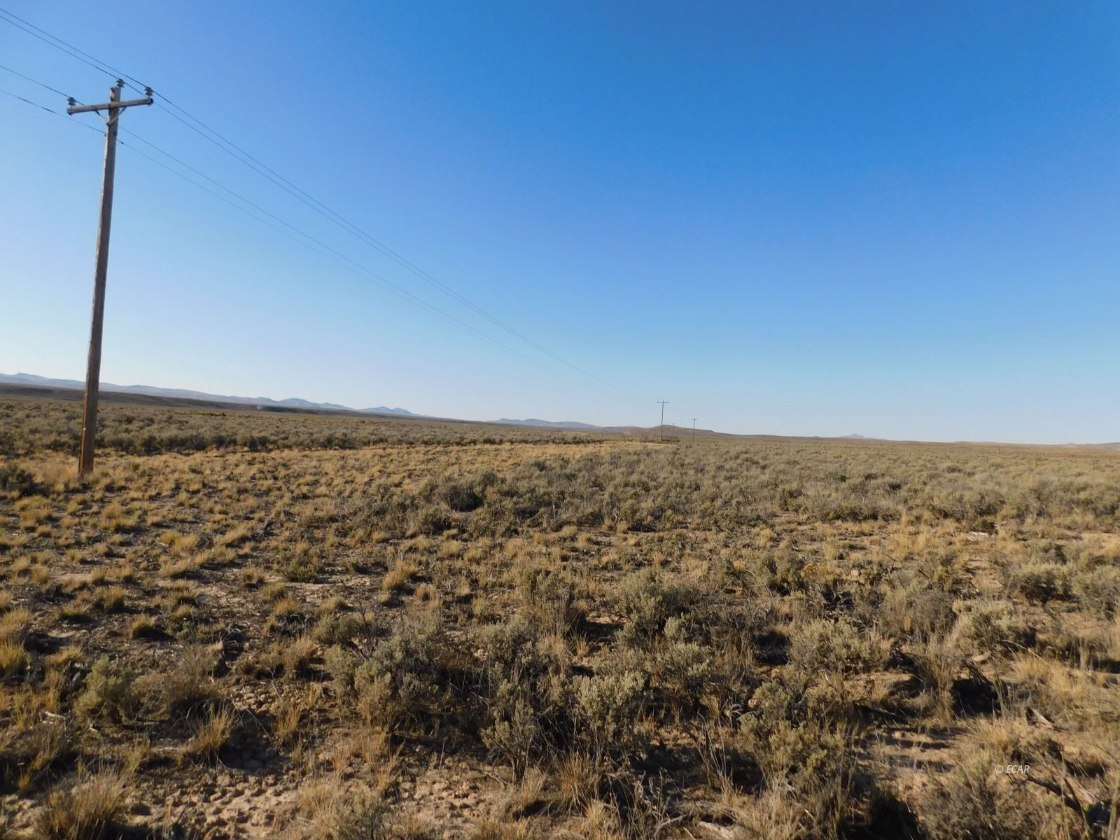 Tbd Sr 225 Highway Property Photo 8